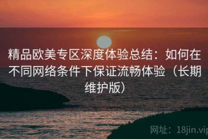 精品欧美专区深度体验总结：如何在不同网络条件下保证流畅体验（长期维护版）