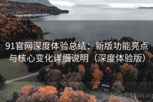 91官网深度体验总结：新版功能亮点与核心变化详细说明（深度体验版）