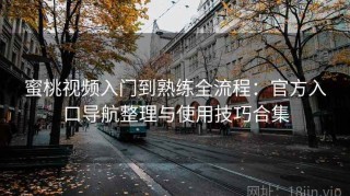 蜜桃视频入门到熟练全流程：官方入口导航整理与使用技巧合集