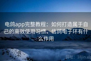 电鸽app完整教程：如何打造属于自己的高效使用习惯，信鸽电子环有什么作用