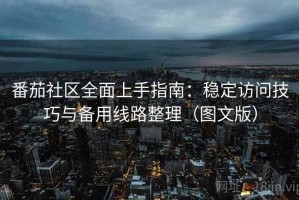 番茄社区全面上手指南：稳定访问技巧与备用线路整理（图文版）