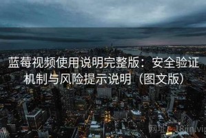 蓝莓视频使用说明完整版：安全验证机制与风险提示说明（图文版）