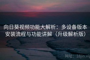 向日葵视频功能大解析：多设备版本安装流程与功能讲解（升级解析版）