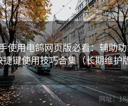 新手使用电鸽网页版必看：辅助功能、快捷键使用技巧合集（长期维护版）