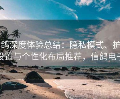 电鸽深度体验总结：隐私模式、护眼设置与个性化布局推荐，信鸽电子