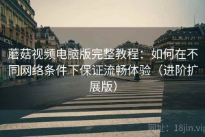 蘑菇视频电脑版完整教程：如何在不同网络条件下保证流畅体验（进阶扩展版）