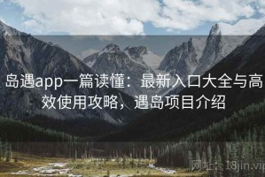 岛遇app一篇读懂：最新入口大全与高效使用攻略，遇岛项目介绍