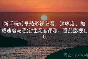 新手玩转番茄影视必看：清晰度、加载速度与稳定性深度评测，番茄影视1.0