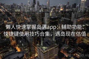 懒人快速掌握岛遇app：辅助功能、快捷键使用技巧合集，遇岛现在估值
