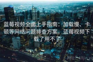 蓝莓视频全面上手指南：加载慢、卡顿等网络问题排查方案，蓝莓视频下载了用不了