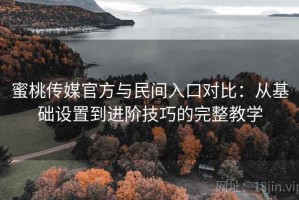 蜜桃传媒官方与民间入口对比：从基础设置到进阶技巧的完整教学