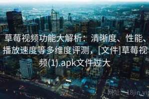 草莓视频功能大解析：清晰度、性能、播放速度等多维度评测，[文件]草莓视频(1).apk文件过大