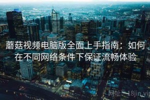 蘑菇视频电脑版全面上手指南：如何在不同网络条件下保证流畅体验