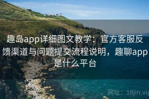 趣岛app详细图文教学：官方客服反馈渠道与问题提交流程说明，趣聊app是什么平台
