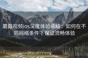 蘑菇视频ios深度体验总结：如何在不同网络条件下保证流畅体验