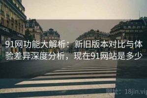 91网功能大解析：新旧版本对比与体验差异深度分析，现在91网站是多少