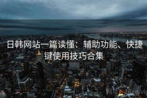 日韩网站一篇读懂：辅助功能、快捷键使用技巧合集