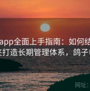电鸽app全面上手指南：如何结合收藏夹打造长期管理体系，鸽子电脑