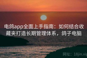 电鸽app全面上手指南：如何结合收藏夹打造长期管理体系，鸽子电脑