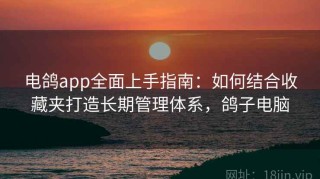 电鸽app全面上手指南：如何结合收藏夹打造长期管理体系，鸽子电脑