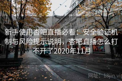 新手使用杏吧直播必看：安全验证机制与风险提示说明，杏吧直播怎么打不开了2020年11月