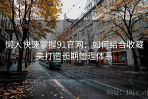 懒人快速掌握91官网：如何结合收藏夹打造长期管理体系