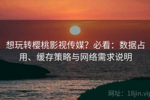 想玩转樱桃影视传媒？必看：数据占用、缓存策略与网络需求说明