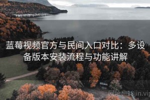 蓝莓视频官方与民间入口对比：多设备版本安装流程与功能讲解