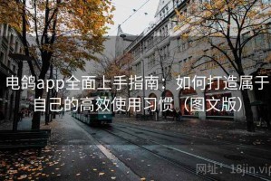 电鸽app全面上手指南：如何打造属于自己的高效使用习惯（图文版）