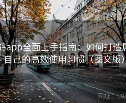电鸽app全面上手指南：如何打造属于自己的高效使用习惯（图文版）