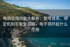 电鸽官网功能大解析：账号体系、绑定机制与安全说明，电子鸽环起什么作用