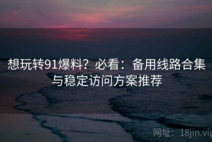 想玩转91爆料？必看：备用线路合集与稳定访问方案推荐