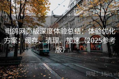 电鸽网页版深度体验总结：体验优化方案：缓存、清理、加速（2025参考版）