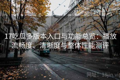 17吃瓜多版本入口与功能总览：播放流畅度、清晰度与整体性能测评