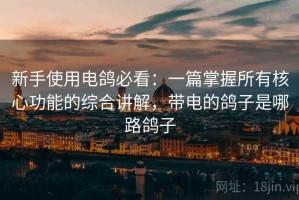 新手使用电鸽必看：一篇掌握所有核心功能的综合讲解，带电的鸽子是哪路鸽子