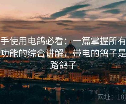 新手使用电鸽必看：一篇掌握所有核心功能的综合讲解，带电的鸽子是哪路鸽子