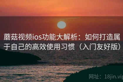 蘑菇视频ios功能大解析：如何打造属于自己的高效使用习惯（入门友好版）