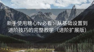 新手使用糖心tv必看：从基础设置到进阶技巧的完整教学（进阶扩展版）