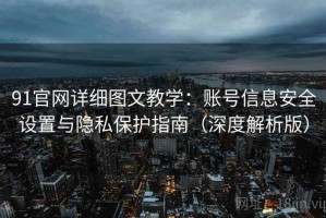 91官网详细图文教学：账号信息安全设置与隐私保护指南（深度解析版）