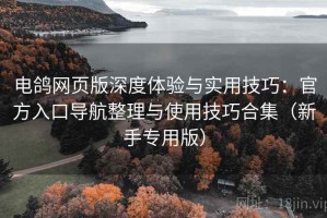 电鸽网页版深度体验与实用技巧：官方入口导航整理与使用技巧合集（新手专用版）