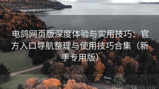 电鸽网页版深度体验与实用技巧：官方入口导航整理与使用技巧合集（新手专用版）