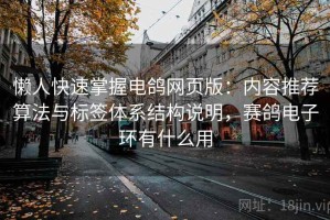 懒人快速掌握电鸽网页版：内容推荐算法与标签体系结构说明，赛鸽电子环有什么用