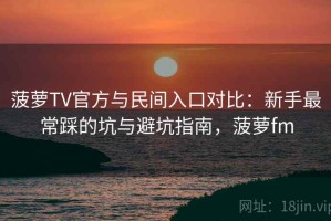 菠萝TV官方与民间入口对比：新手最常踩的坑与避坑指南，菠萝fm