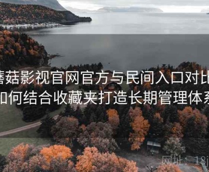 蘑菇影视官网官方与民间入口对比：如何结合收藏夹打造长期管理体系