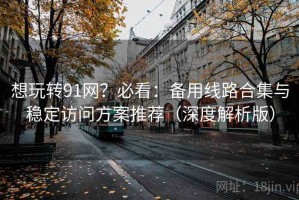 想玩转91网？必看：备用线路合集与稳定访问方案推荐（深度解析版）