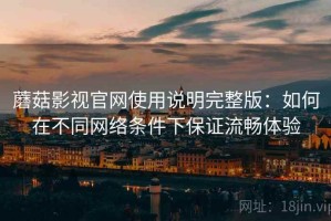 蘑菇影视官网使用说明完整版：如何在不同网络条件下保证流畅体验