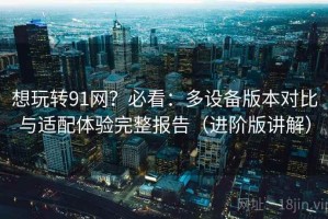 想玩转91网？必看：多设备版本对比与适配体验完整报告（进阶版讲解）