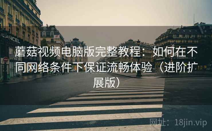 蘑菇视频电脑版完整教程：如何在不同网络条件下保证流畅体验（进阶扩展版）