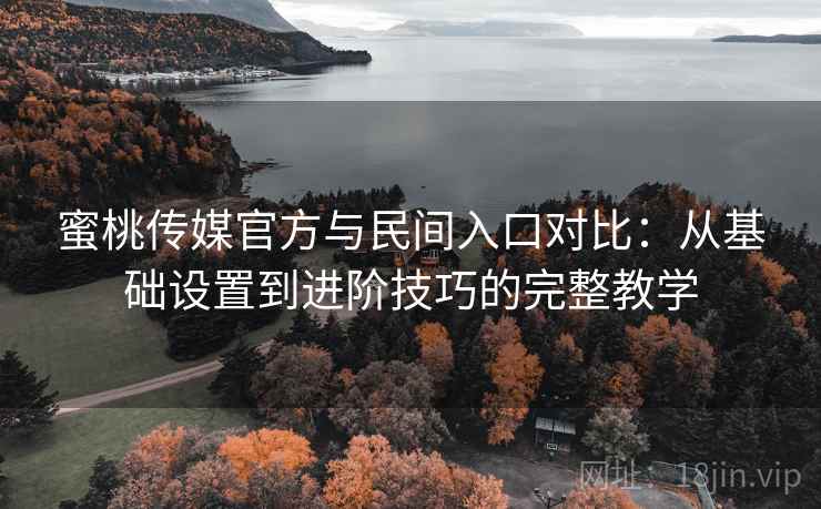蜜桃传媒官方与民间入口对比：从基础设置到进阶技巧的完整教学