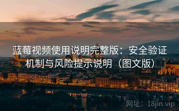 蓝莓视频使用说明完整版：安全验证机制与风险提示说明（图文版）